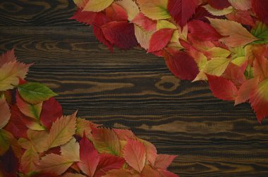 Ahşap tekstil üzerinde sonbahar renkli yaprakların çerçevesi