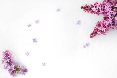 Beyaz arka planda leylak çiçekleri olan çerçeve. Düz yatış, üst görünüm.