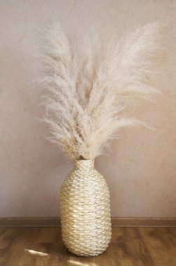 Hasır bir vazoda bej rengi otlar. Cortaderia selloana. Ön görünüm.