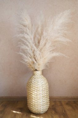 Pampas grass in a wicker vase on beige background. Cortaderia selloana. Front view. clipart
