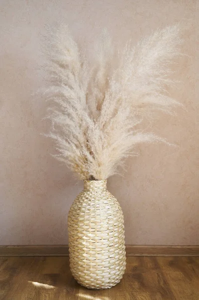 Pampas grama em um vaso de vime em fundo bege. Cortaderia selloana. Vista frontal. Fotos De Bancos De Imagens Sem Royalties