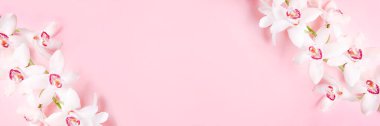 Pembe arka planda güzel beyaz orkide çiçeği. Yakın plan, kopyalama alanı.