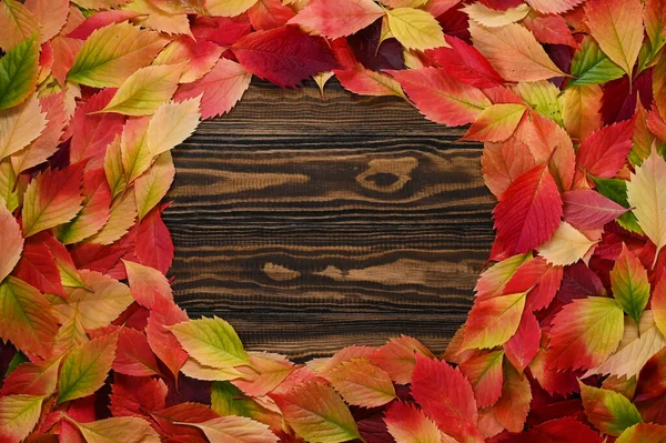 Fondo de hojas de otoño con espacio vacío al texto u objetos . — Foto de Stock