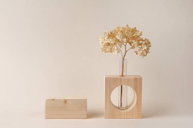 Ürün sunumu için bej arka planda bir vazoda ahşap podyum ve kurutulmuş çiçek. Ön görünüm.