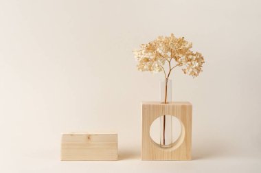 Ürün sunumu için bej arka planda bir vazoda ahşap podyum ve kurutulmuş çiçek. Ön görünüm.