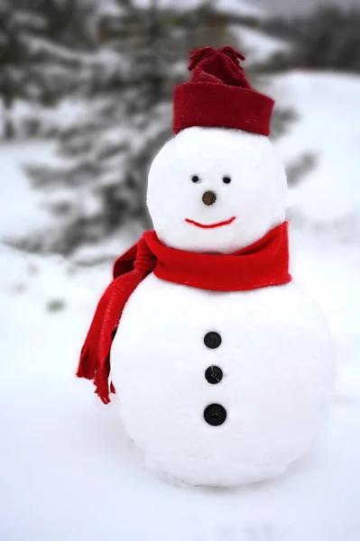 Sneeuwman Draagt Een Wintermuts Sjaal Witte Achtergrond Staande Bij Een — Stockfoto