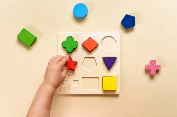 Criança Coleta Classificador Multicolorido Brinquedo Lógico Educativo Para Crianças Vista Imagens De Bancos De Imagens
