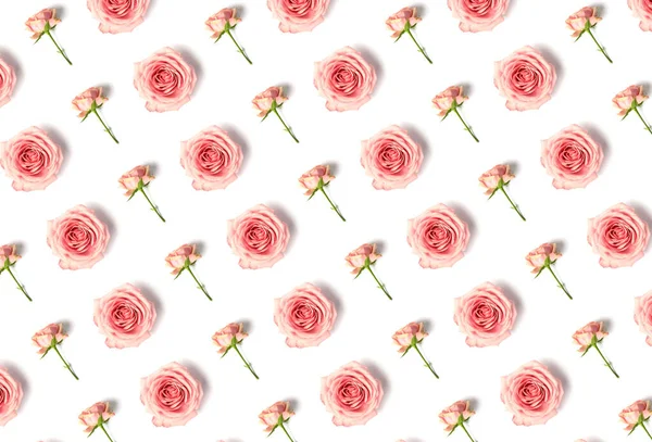 Bloemenpatroon Met Prachtige Roze Rozen Geïsoleerd Witte Achtergrond Bovenaanzicht Vlakke — Stockfoto