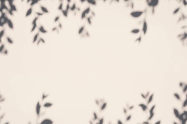 Bej bir duvarda yaprakların gölgeleri olan soyut bir arkaplan.