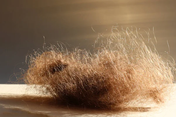 A bunch of hair. The concept of the problem of hair loss in women. hair falls.