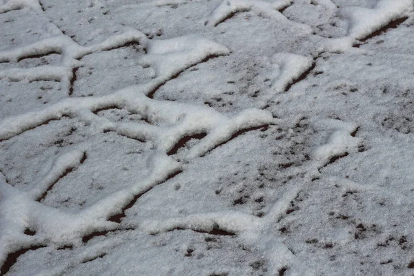 Weißer Hintergrund Vom Ersten Schnee Nahaufnahme Von Boden Und Schnee — Stockfoto