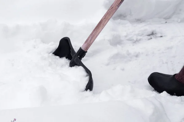 Clearing the garden and road after heavy snow