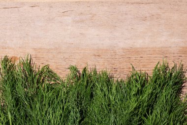 Tahta bir masada taze dereotu, üst manzara. Metin için yer,