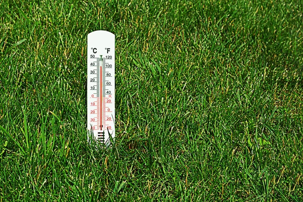 Termometro Sull Erba Una Temperatura Dell Aria Gradi Indicata Termometro — Foto Stock