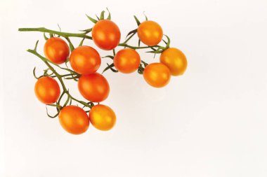 Sarmaşıklı vişneli domates. Yukarıdan görünüm