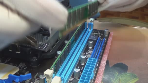 Instalación de una correa RAM en la placa base de un ordenador personal — Vídeo de stock