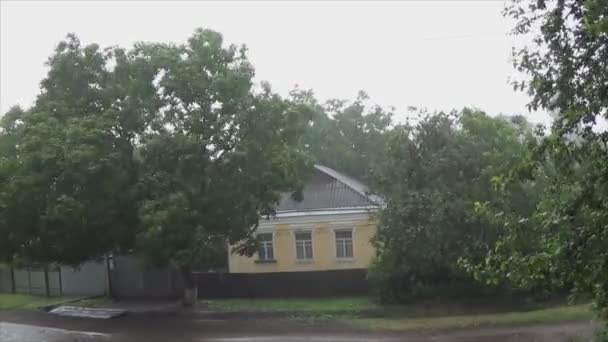 Sterke windstoten slingeren bomen tijdens een onweersbui. Overvloedige regendruppels bij slecht weer — Stockvideo