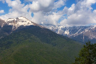 Soçi 'deki karlı dağların arkasındaki yeşil orman. Kafkaslar baharda nisan ayında sıralanır. Güzel panoramik manzara, metin için yer var. Güneş ışığında dağ zirveleri. Kafkasya 'ya git..