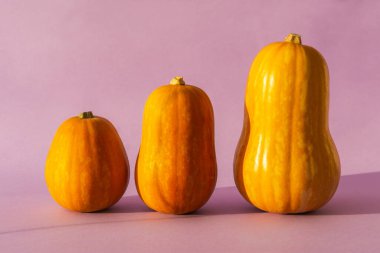 Üç turuncu balkabağı parlak mor bir arka planda dikiliyor. Sert ışıktaki balkabaklarının minimalist yaratıcı bileşimi. Cadılar Bayramı Konsepti. Tebrik kartının çizimi. Boşluğu kopyala