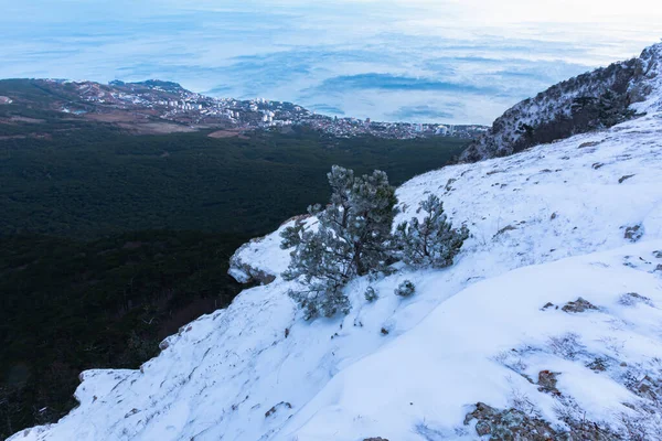 克里米亚山区覆盖着积雪的松树林的冬季风景全景 Petri迷人的童话景观 冒险和娱乐的概念 — 图库照片
