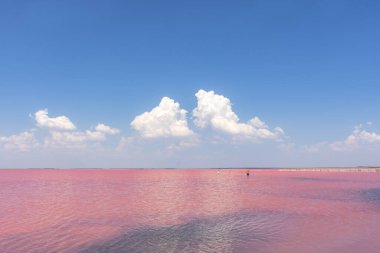 Kırım 'daki Pembe Tuz Gölü Sasyk-Sivash. Güzel bir peri masalı manzarası. Göl, bulutlar ve insanlarla dolu mavi bir gökyüzü. Tuz endüstrisi. Mineralli pembe tuz kozmetik işlemler için yararlıdır.