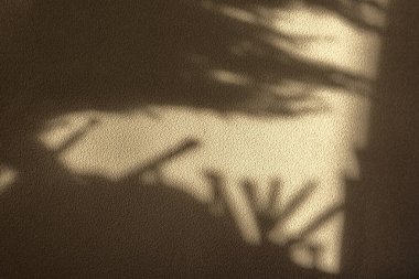 Bej bir duvardaki soyut gölge. Modaya uygun, parlak renkler Güneş ışığına yelken açan Şampanyayı hazırlıyor. Yaz tropik tasarımı. Dokulu arka plan duvarı ve minimalist doğal gölgeler. Boşluğu kopyala