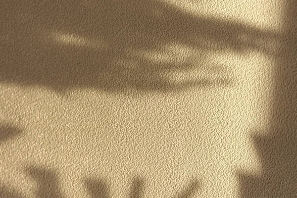 Abstract shadow on a beige wall. Trendy light iridescent color Set Sail Champagne in harsh sunlight. Summer tropical design. Textured background wall and minimalist natural shades. copy space