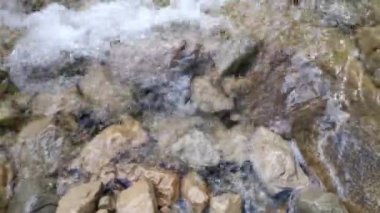 Bahar ormanındaki dağ nehri. En saf soğuk su dağlardan hızla akar. Botkin yolunda Bufile Dere Yalta Kırım Nehri. Hızlı dağ deresi. Ormanda yürüyüş..