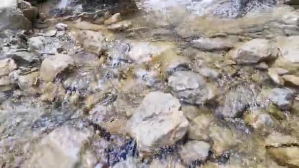 Гірська Річка Весняному Лісі Найчистіша Холодна Вода Швидко Витікає Гір — стокове відео