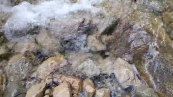 Río Montaña Bosque Primavera Agua Fresca Más Pura Fluye Rápidamente — Vídeos de Stock