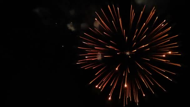 Kleurrijk Vuurwerk Aan Nachtelijke Hemel Kleurrijke Pyrotechnische Show Recht Boven — Stockvideo