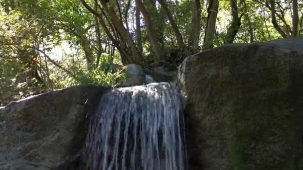 Een Beek Het Park Het Voorjaar Kunstmatige Regenwaterbronnen Openbare Botanische — Stockvideo