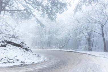 Kış ormanında bir yol. Kozalaklı orman ve dağ yılanlarıyla güzel bir kış manzarası. Karla kaplı kış masalı. Boş yol, uzun çam ağaçları. Kışın seyahat kavramı.