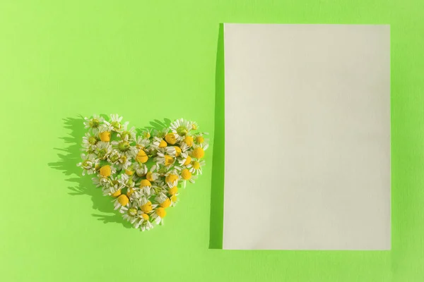 Heart Daisies Green Paper Background White Blank Sheet Notes Bright — Stockfoto