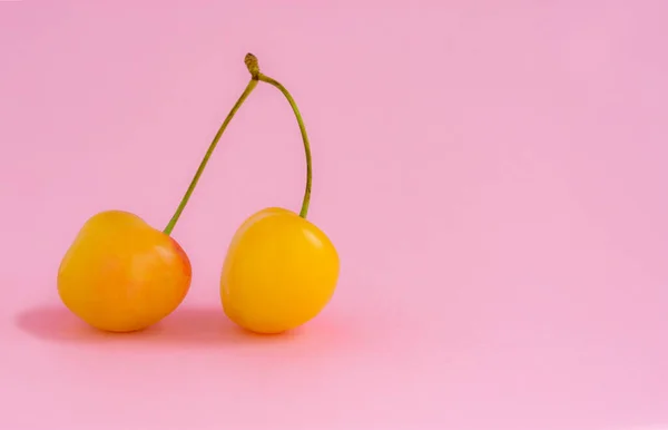 Cereza Amarilla Sobre Fondo Rosa Cerca Macro Frutas Tonos Pastel — Foto de Stock