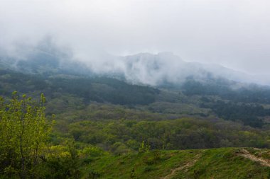 Bahar ormanı, dağlar, bulutlar. Dağ yamacında yeşil ağaçlarla kaplı bulutlu bir manzara. Hafif hava bulutları tepeleri kapladı. Üzücü, sakin bir bakış. Atmosferik bahar arkaplanı, insanlar olmadan, boşluğu kopyala