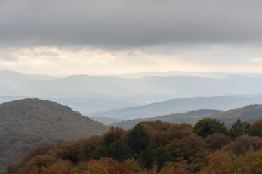 Sakin sonbahar manzarası. Dağlarda bej rengi sis. Gün batımında muhteşem bir sis. Atmosferik sonbahar manzarası, dağlar ve ağaçların altın tepeleri. Kopyalama alanı olan güzel arkaplan görünümü