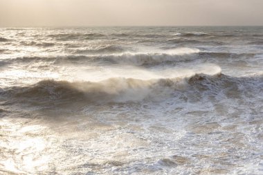 Fırtına denizi kumsalı nötr bir renktir. Bej tonlarında doğal bir arka plan. Öfkeli elementler, deniz sörfünün görkemli manzarası. Köpüklü dalgalar kıyıda yuvarlanıyor. Felaket konsepti, tehdit.
