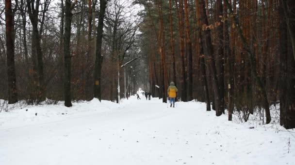 Olympic Park Voronezh 2021 여자가 스키를 걷습니다 Weekend Leisure 휴가를 — 비디오