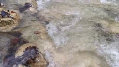 Ormanda düşen sonbahar yapraklarıyla su akar. Sonbaharın sonu ya da ilkbaharın başı. Rahatlama ve rahatlama kavramı. Doğayla baş başa. En saf temiz su..