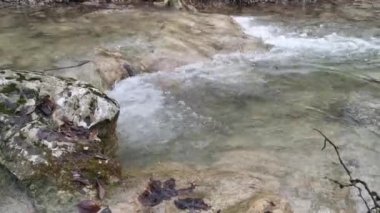 Ormanda düşen sonbahar yapraklarıyla su akar. Sonbaharın sonu ya da ilkbaharın başı. Rahatlama ve rahatlama kavramı. Doğayla baş başa. En saf temiz su..