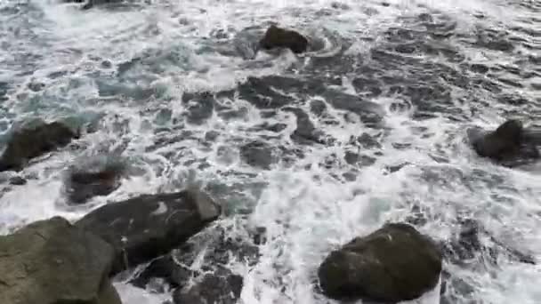 Szare Piankowe Morze Skały Okropne Morze Czarne Przed Burzą Fale — Wideo stockowe