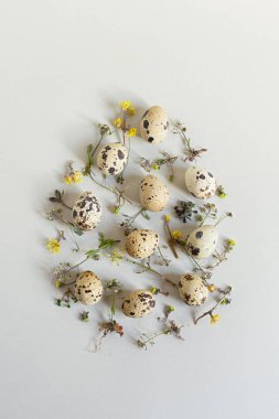 Paskalya bıldırcın yumurtaları estetik hayat dolu. Tarafsız renklerde neşeli Paskalya kompozisyonu. Çim yapraklarının şık düz düzeni, gri arka planda çiçekler. Mutlu Paskalyalar, tebrik kartı tasarımı. Boşluğu kopyala