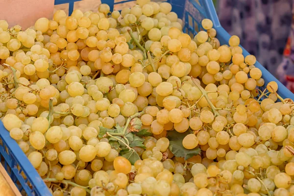 Uvas Verdes Mercado Fondo Racimos Maduros Uvas Blancas Marco Completo —  Fotos de Stock