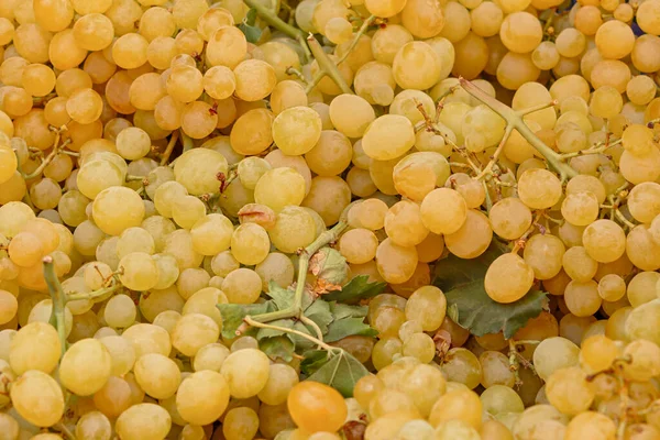 Uvas Verdes Mercado Fundo Cachos Maduros Uvas Brancas Moldura Completa — Fotografia de Stock