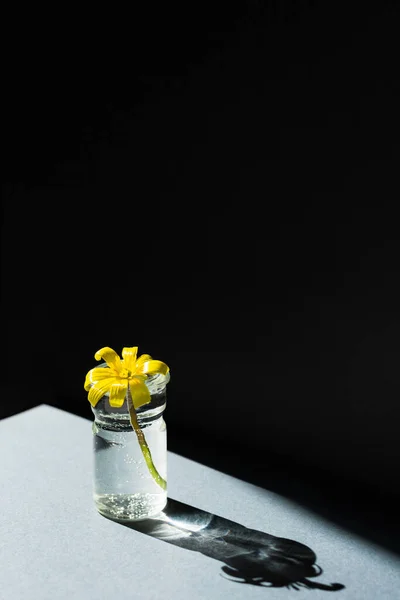 Florero Minimalismo Flor Amarilla Sobre Fondo Gris Negro Diseño Muelles — Foto de Stock