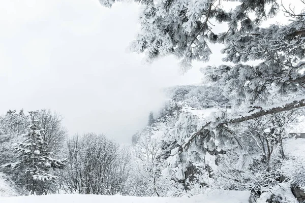 Paisaje Invernal Con Árboles Cubiertos Nieve Fabuloso Paisaje Atmosférico Montañas — Foto de Stock