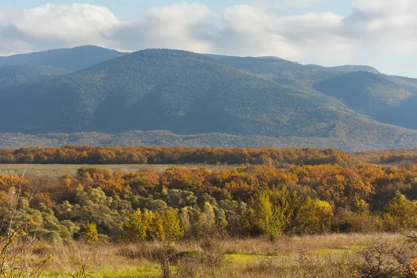 Autumn Mountains Forest Golden Autumn Landscape Colorful Orange Red Trees — Stock Photo, Image