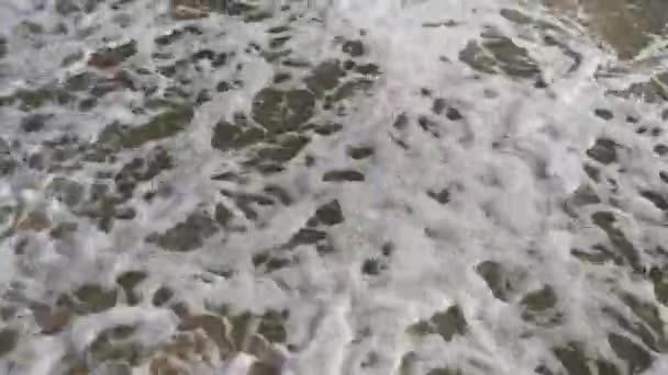 Sea Wave Close Rolls Sandy Beach Calm Movement Warm Sunset — Stock Video