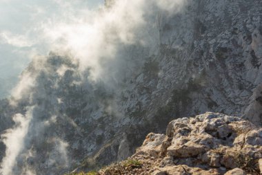 Dağlar, orman, bulutlar. Güzel, şeffaf bulutlar kozalaklı ormanın üzerindeki dağların altında yüzerler. Doğayla bütünlük kavramı. Kopyalama alanı olan doğal arkaplan